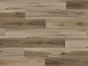 Paradigm Performer Buckwheat 9 x 60